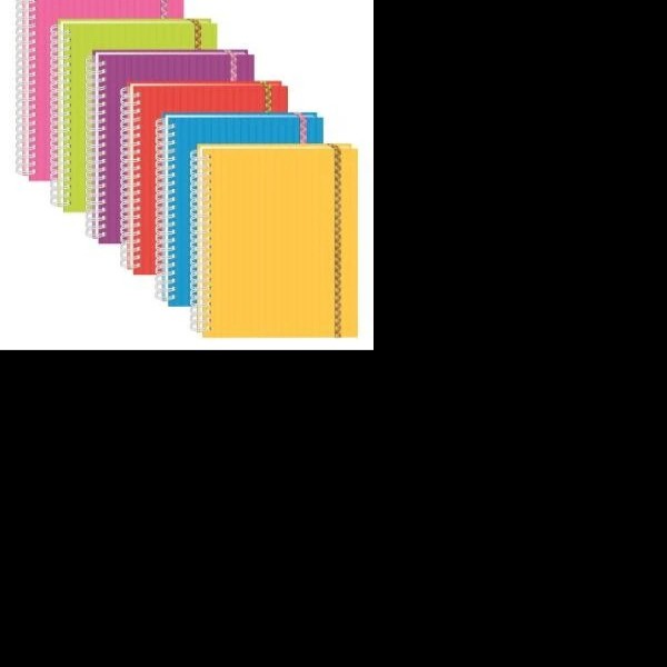 CUADERNO PROF. ARCOIRIS PRINTAFORM RAYA ESP. 100H. PZA